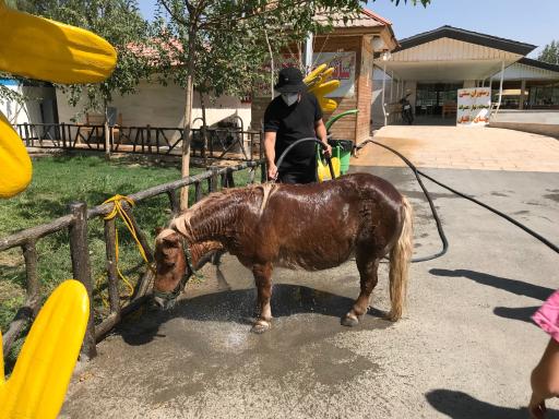 عکس باغ وحش صفادشت