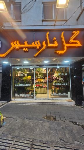 عکس گل نارسیس