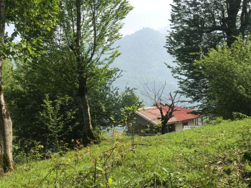 عکس ویلا امیر 