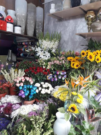 عکس گل شاهانه