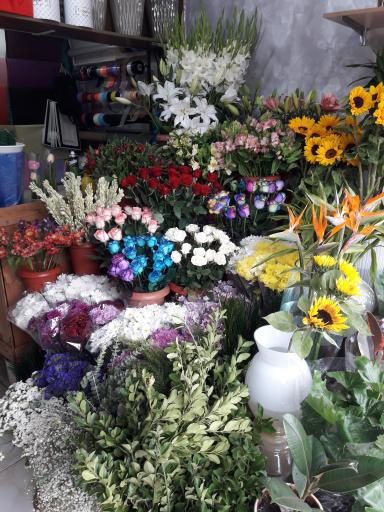 عکس گل شاهانه