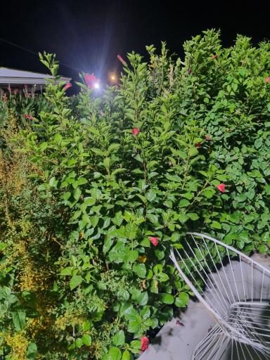عکس مجموعه تحقیقاتی بوم گردی و گردشگری قلعه تل 