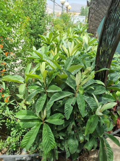عکس مجموعه تحقیقاتی بوم گردی و گردشگری قلعه تل 