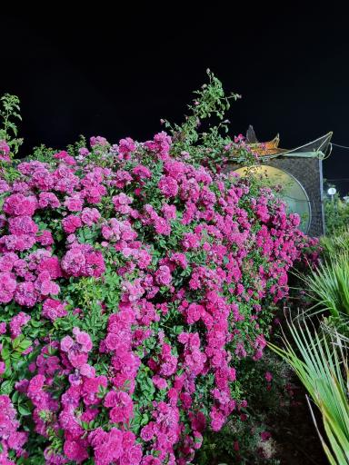 عکس مجموعه تحقیقاتی بوم گردی و گردشگری قلعه تل 