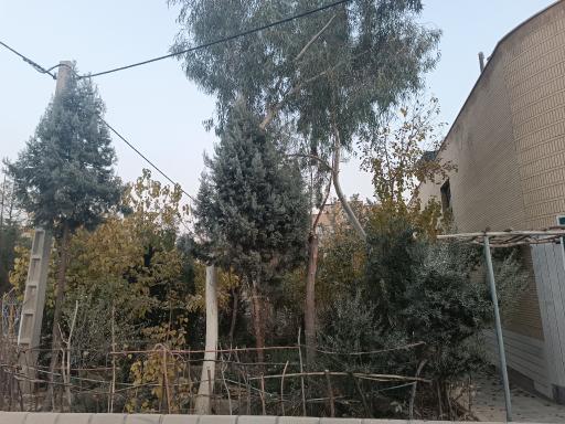 عکس پارک محلی اندیشه