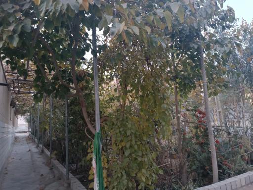 عکس پارک محلی اندیشه