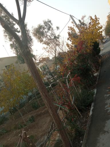 عکس پارک محلی اندیشه