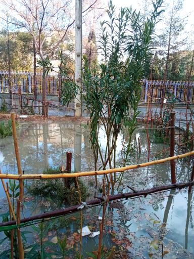 عکس پارک محلی اندیشه