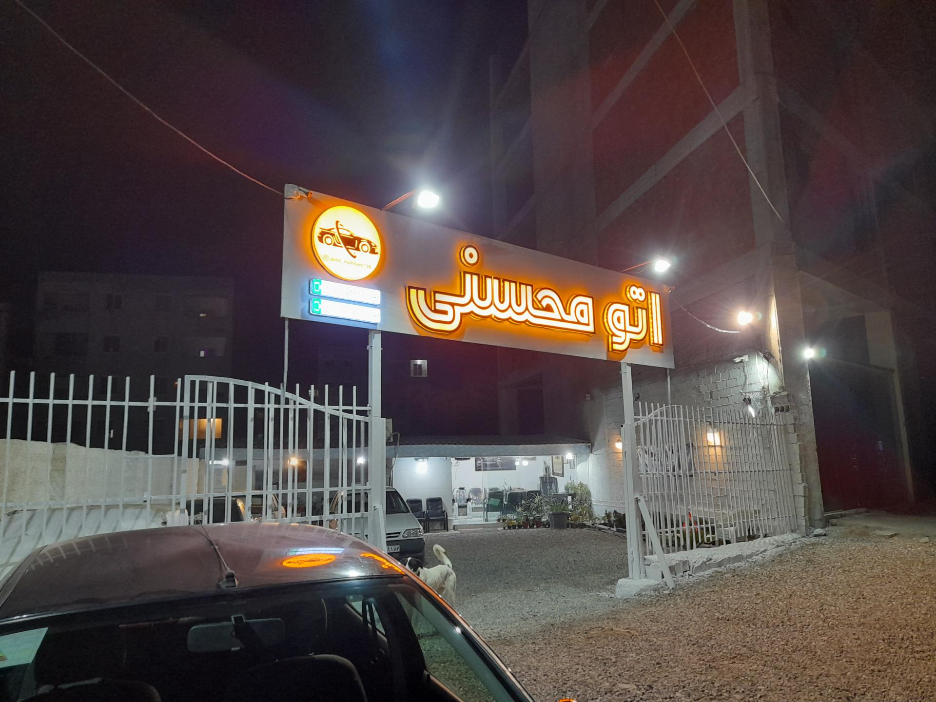 عکس اتو محسنی