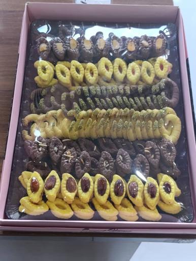 عکس گز ستوده