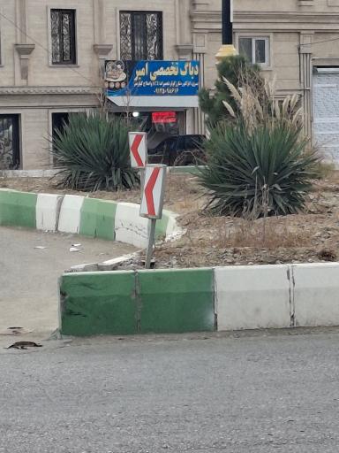 عکس دیاگ تخصصی امیر