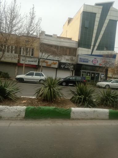 عکس طلاجات سجاد 