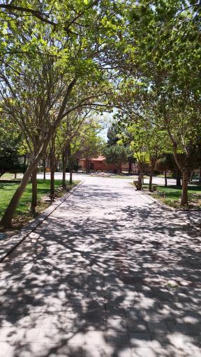 عکس بوستان ارم