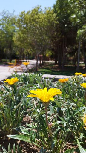 عکس بوستان ارم