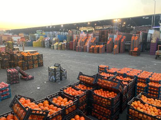 عکس فاز 1 سالن 4