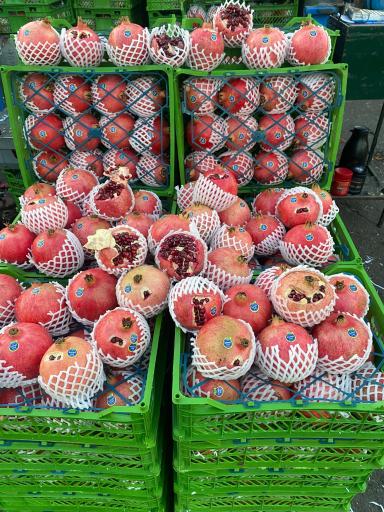 عکس فاز 1 سالن 4