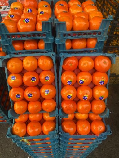 عکس فاز 1 سالن 4