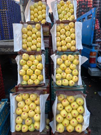 عکس فاز 1 سالن 4