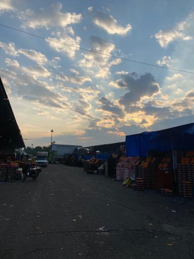 عکس فاز 1 سالن 4