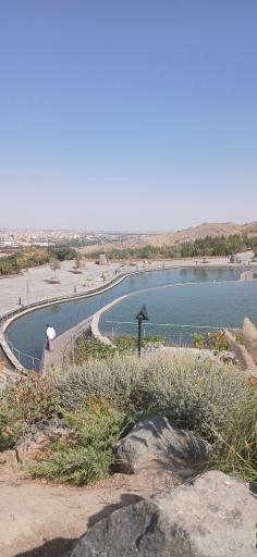عکس مشهد