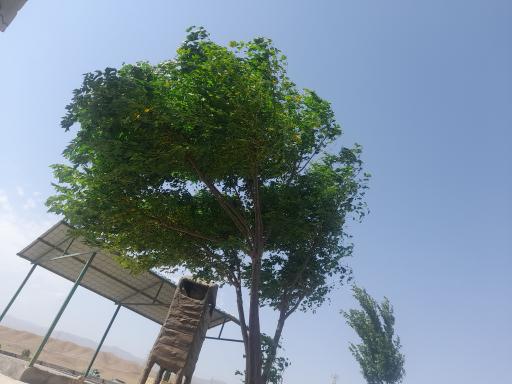 عکس مشهد