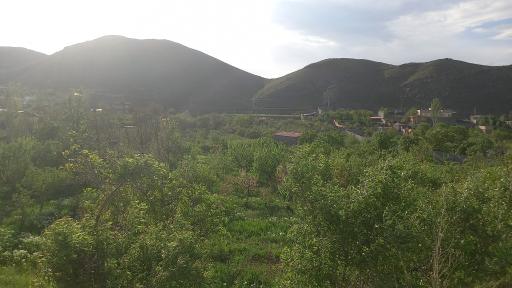عکس مشهد