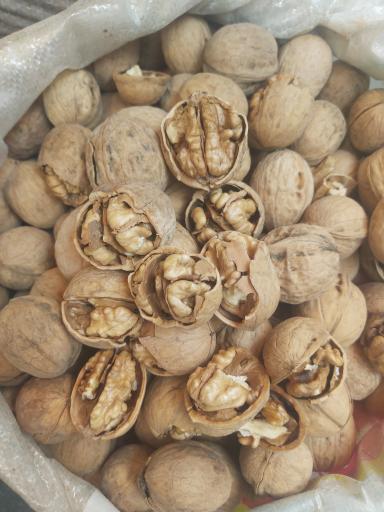 عکس خشکبار رحیم زاده