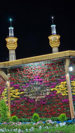 عکس مشهد