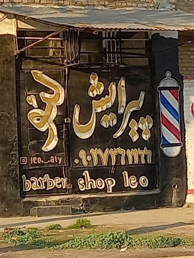 عکس پیرایش لئو