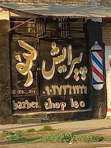 عکس پیرایش لئو