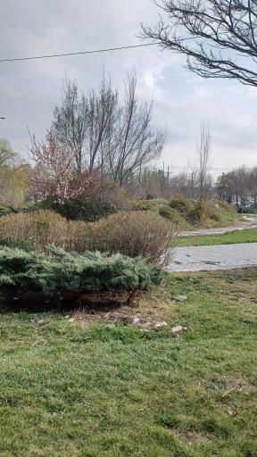 عکس بوستان عطائی