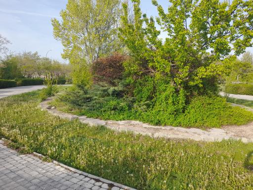 عکس بوستان عطائی