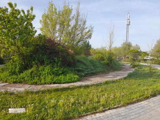 عکس بوستان عطائی