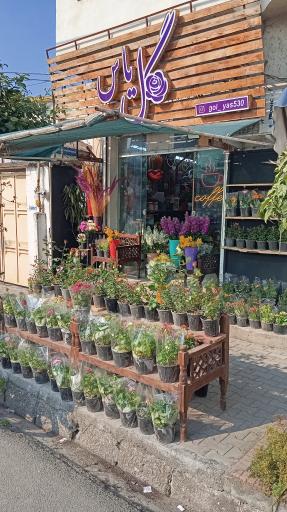 عکس گل فروشی گل یاس