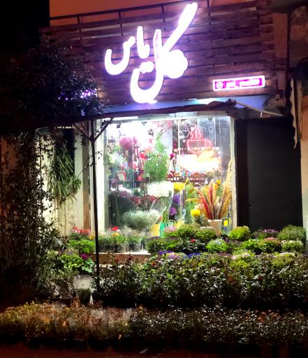 عکس گل فروشی گل یاس