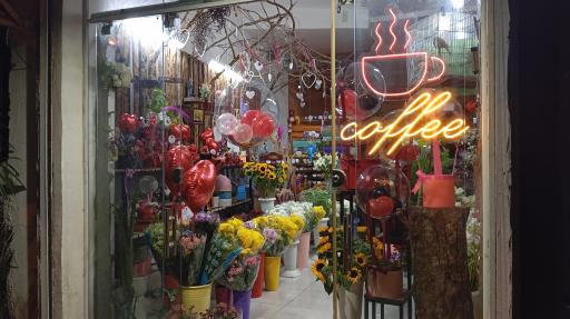 عکس گل فروشی گل یاس