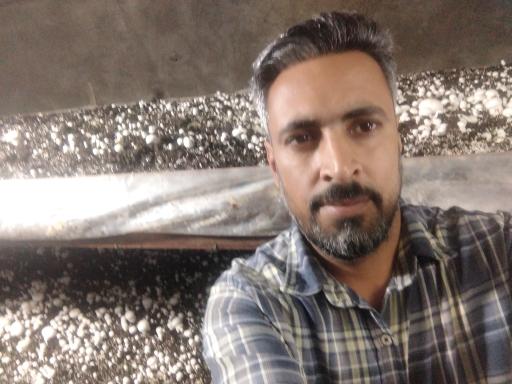 عکس سالن قارچ سنچولی