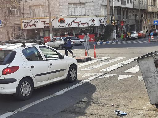 عکس چلو کباب بناب کاج