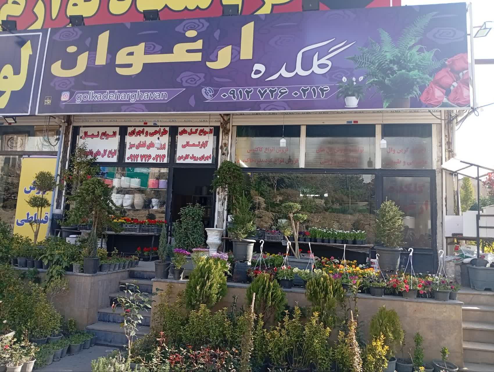 عکس گلکده ارغوان