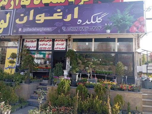 عکس گلکده ارغوان