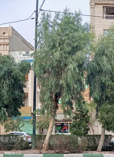 عکس ابزار آلات صادقی