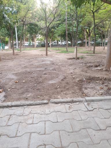 عکس میدان 16