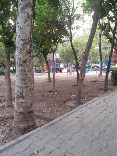 عکس میدان 16