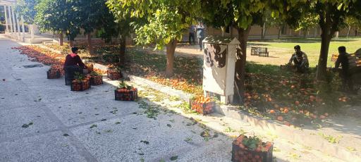 عکس جمعیت هلال احمر استان فارس