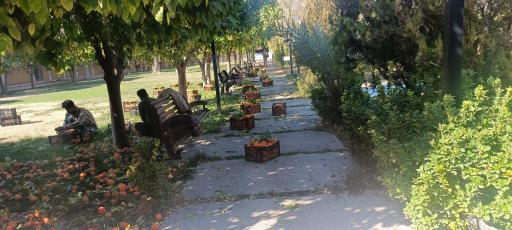 عکس جمعیت هلال احمر استان فارس