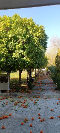 عکس جمعیت هلال احمر استان فارس