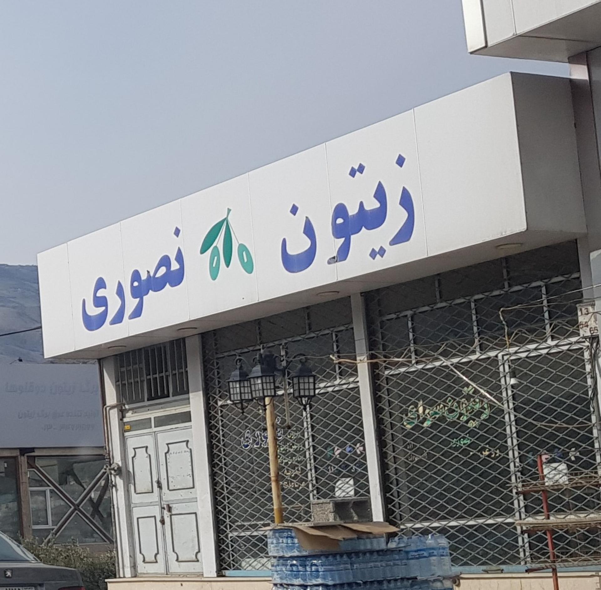 عکس زیتون نصوری