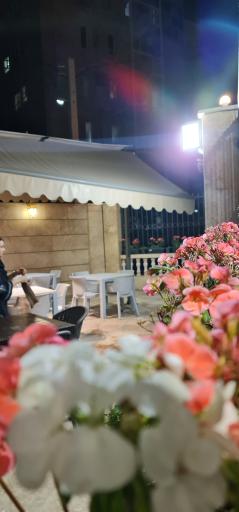 عکس غذاهای سنتی دستپخت مامان