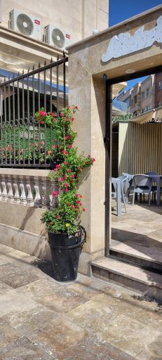 عکس غذاهای سنتی دستپخت مامان