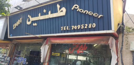 عکس دزدگیر و سیستم صوتی طنین